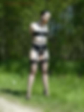 set11