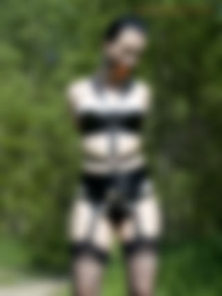 set11