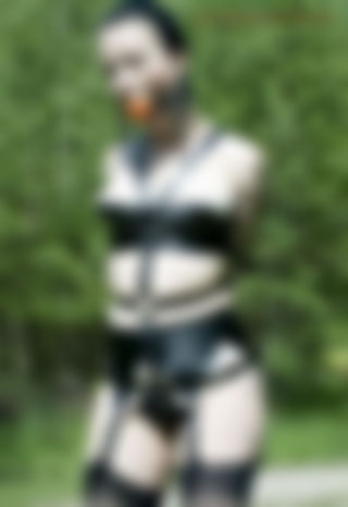 set11